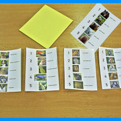 Volby v demokratické společnosti – 22. října 2025