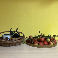 EVVO - Podzimní tvoření - projekt