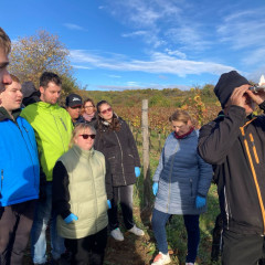 Exkurze do vinohradu na Kraví hoře