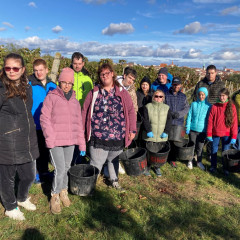 Exkurze do vinohradu na Kraví hoře