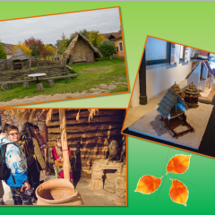 Exkurze na Hradišti