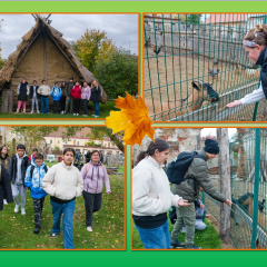 Exkurze na Hradišti