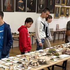 Edukační program v JMM