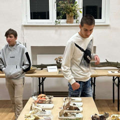 Edukační program v JMM