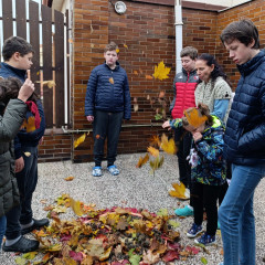 EVVO - Podzimní tvoření v přírodě