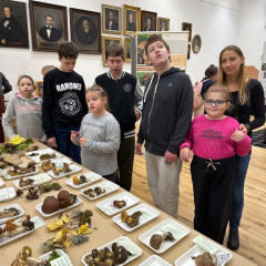 Výstava - Živé houby na Alšovce