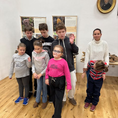 Výstava - Živé houby na Alšovce