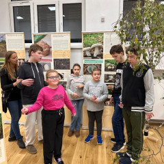 Výstava - Živé houby na Alšovce