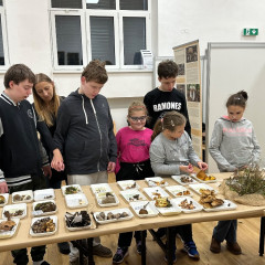 Výstava - Živé houby na Alšovce