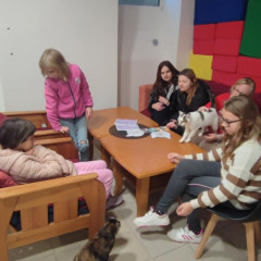 V kočičí kavárně