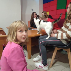 V kočičí kavárně