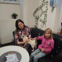 V kočičí kavárně