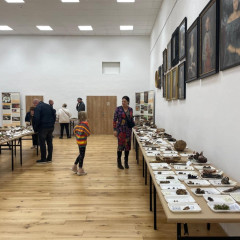 Návštěva výstavy hub