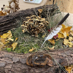 Návštěva výstavy hub