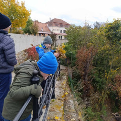 Slavnost padajícího listí