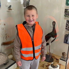 Po stopách lesních zvířat