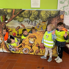 Po stopách lesních zvířat