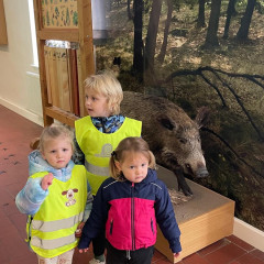 Po stopách lesních zvířat