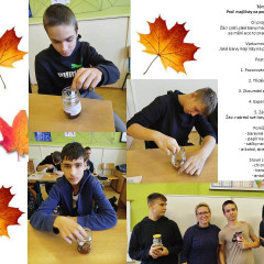 Badatelský projekt: Barvy podzimu