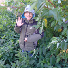 Slavnost padajícího listí