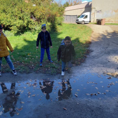 Slavnost padajícího listí