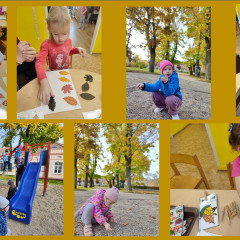 20. října -Den stromů