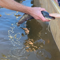 Exkurze na výlov rybníka v Jaroslavicích