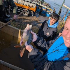 Výlov rybníka v Jaroslavicích