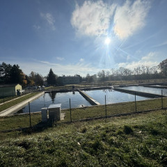 Výlov rybníka v Jaroslavicích