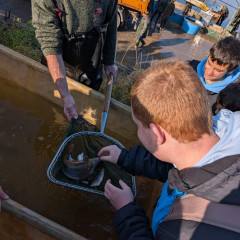 Výlov rybníka v Jaroslavicích