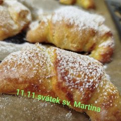 II.ZŠS - třídní projekt "sv. Martin"-aktivity k tématu