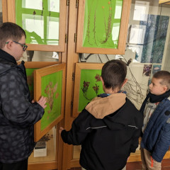 Výstava: Živá příroda Znojemska.