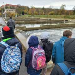 Exkurze na výlov rybníku do Jaroslavic