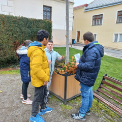 Strašidelná stezka 11.11.