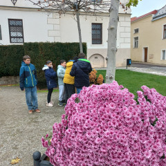 Strašidelná stezka 11.11.