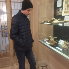 Výstava „Zkamenělí obři a trpaslíci"