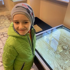 Výstava "Zkamenělí obři a trpaslíci"