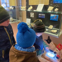 Výstava "Zkamenělí obři a trpaslíci"