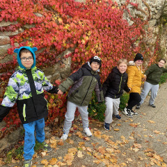 Krása podzimu-barevnost listí