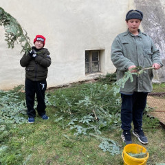 Připravujeme se na DOD