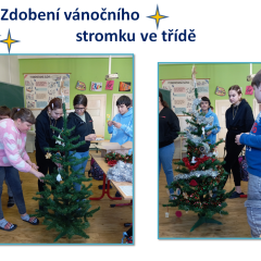 Vánoční focení
