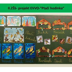 Ptačí hodinka
