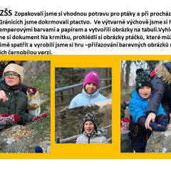 Ptačí hodinka