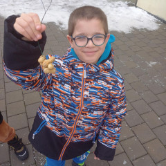 EVVO - Zimní dokrmování ptactva