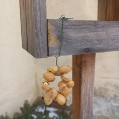 EVVO - Zimní dokrmování ptactva