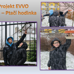 Projekt EVVO - Ptačí hodinka