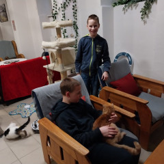 Kavárna s domácími mazlíčky