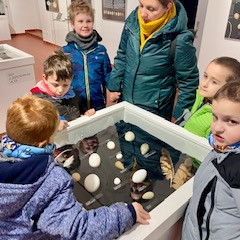 Výstava - Jako vejce vejci?