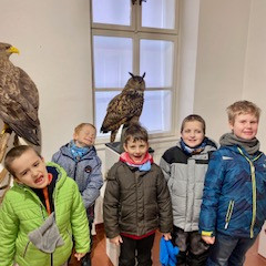 Výstava - Jako vejce vejci?