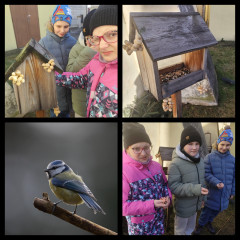 EVVO - Ptačí hodinka